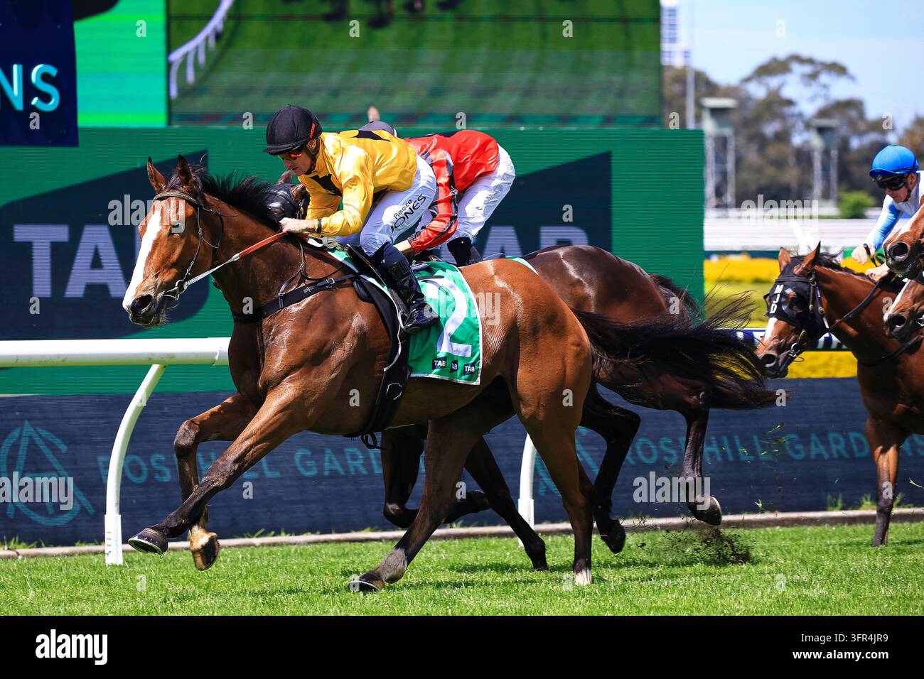 No Reece Day 10th October 2026; Rosehill Gardens Racecourse, Sydney, Australia; Hill ...