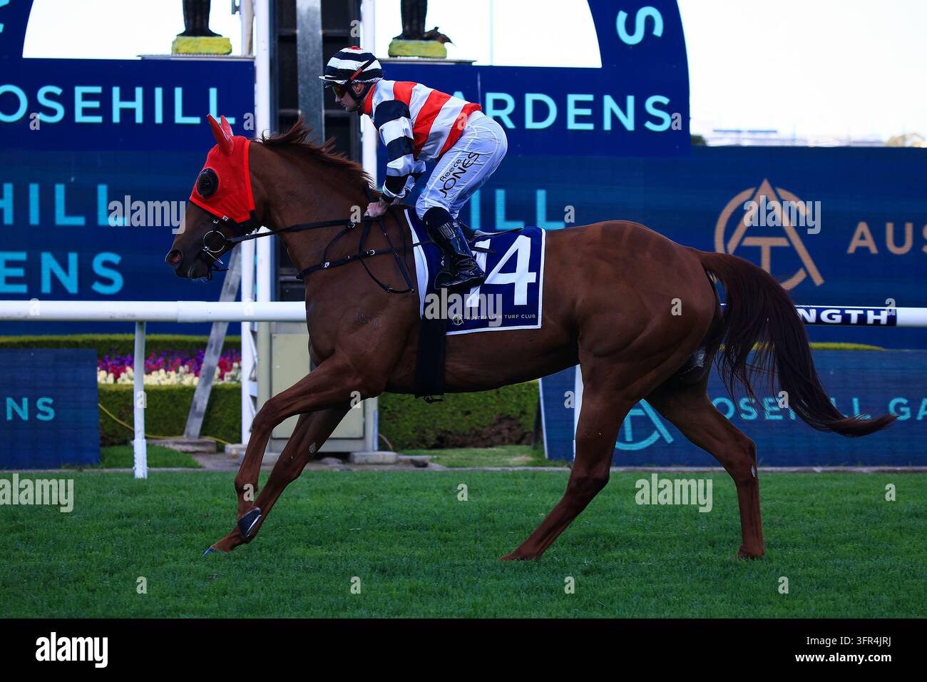 No Reece Day 10th October 2026; Rosehill Gardens Racecourse, Sydney, Australia; Hill ...