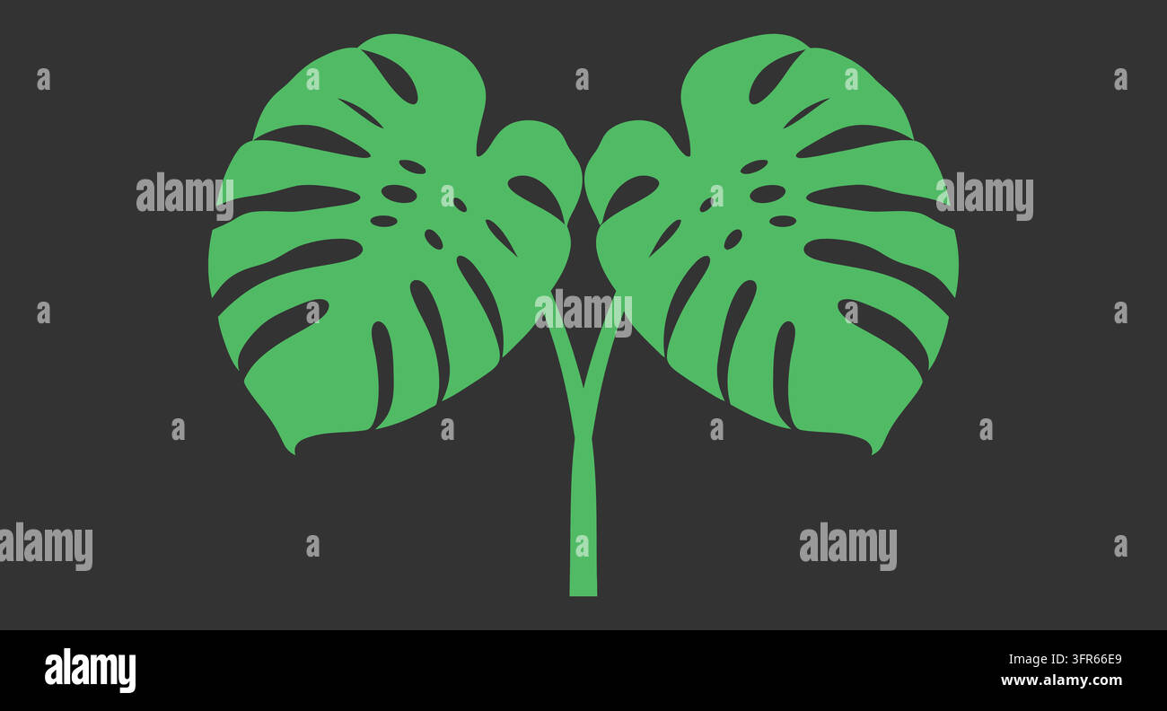 Symmetrical tropical monstera leaves on dark background Stock Vector
