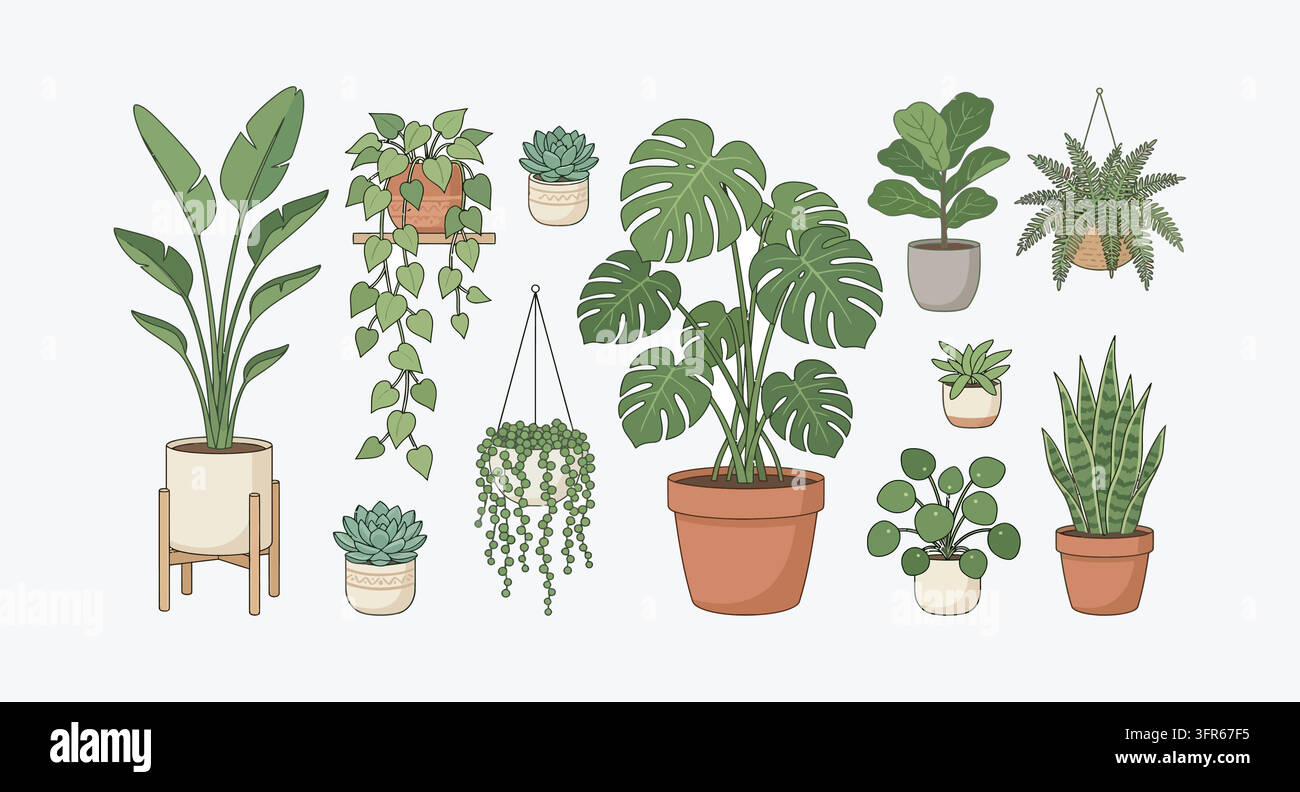 Collection of various potted house plants in ceramic pots with plant Stock Vector