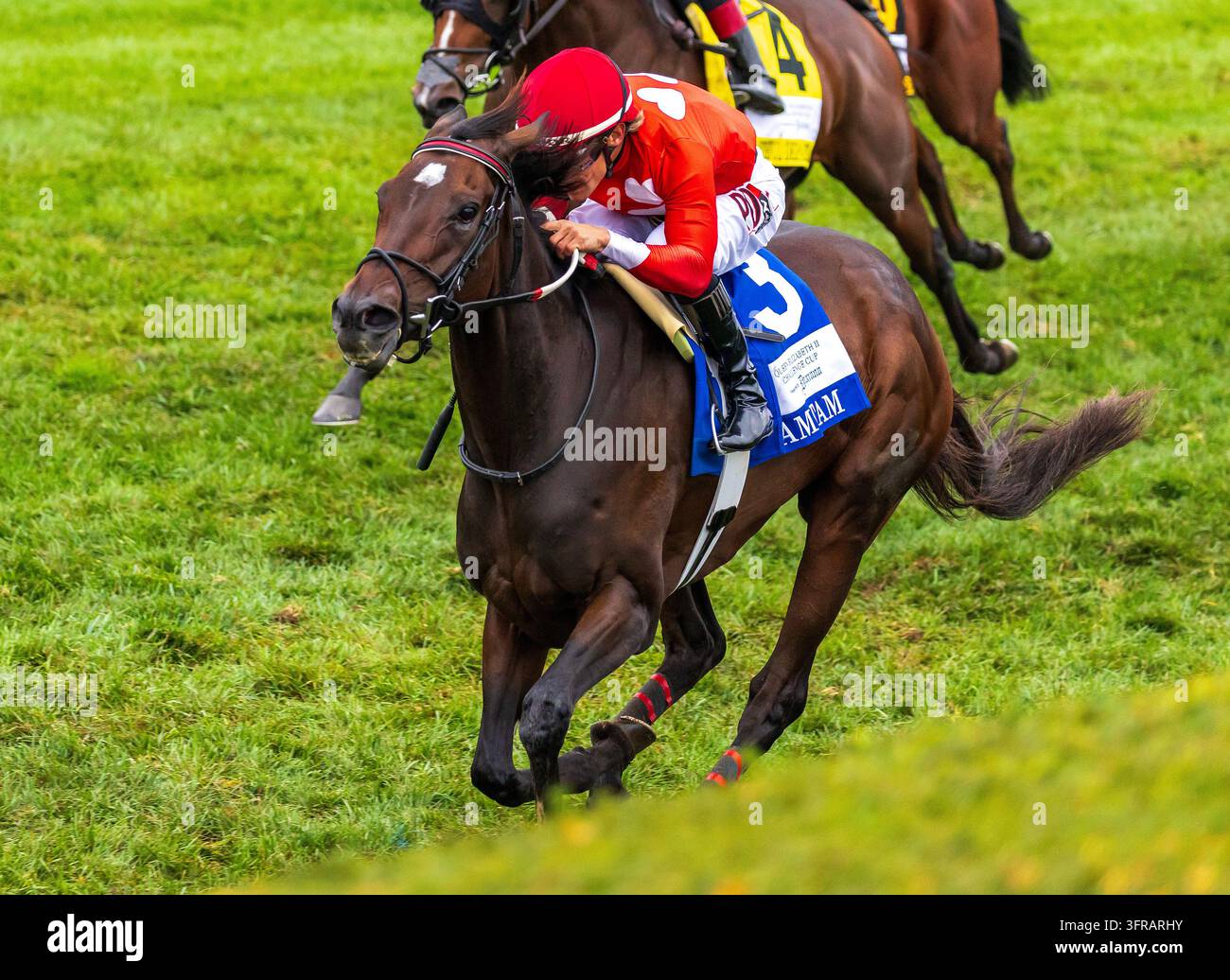 October 10, 2026, Lexington, Ky, USA: Tam Tam (3) ridden by Junior ...