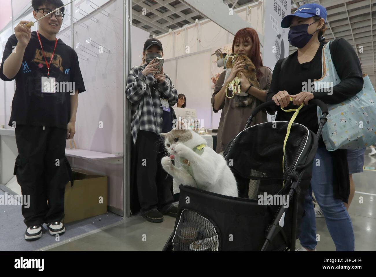 A cat plays with a cat teaser during the Meow Expo in Taipei, Taiwan ...