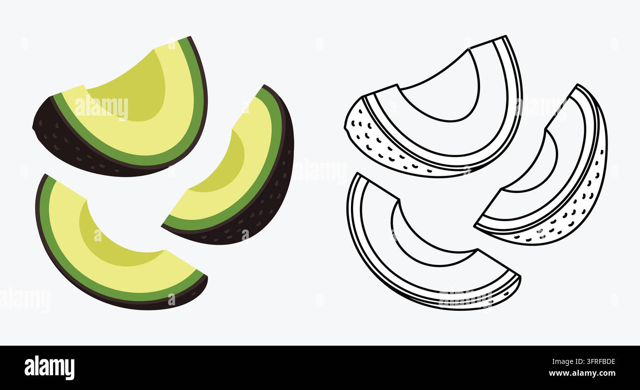 Fresh sliced avocado pieces with matching black and white outline illustrations Stock Vector