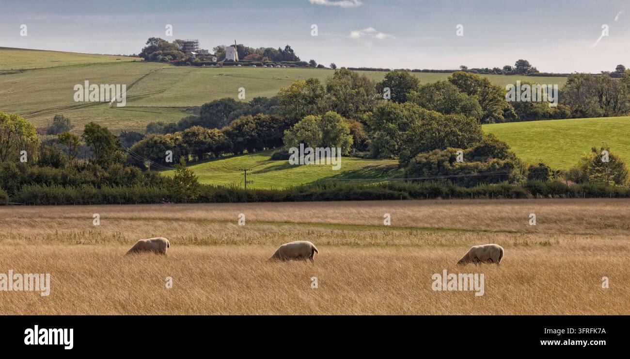 South foot hi-res stock photography and images - Alamy