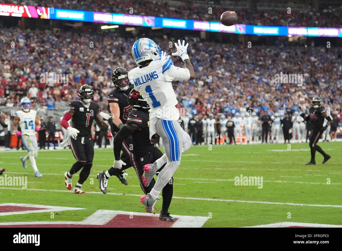 Detroit Lions wide receiver Jameson Williams (1) catches a touchdown ...