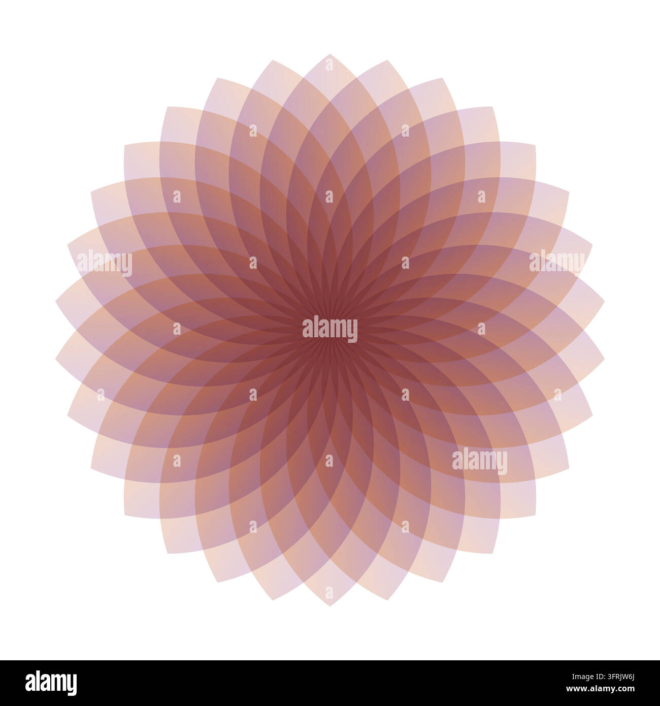 Elegant abstract floral mandala with overlapping translucent petals in soft pink, peach, and mauve tones on a white background. Stock Vector