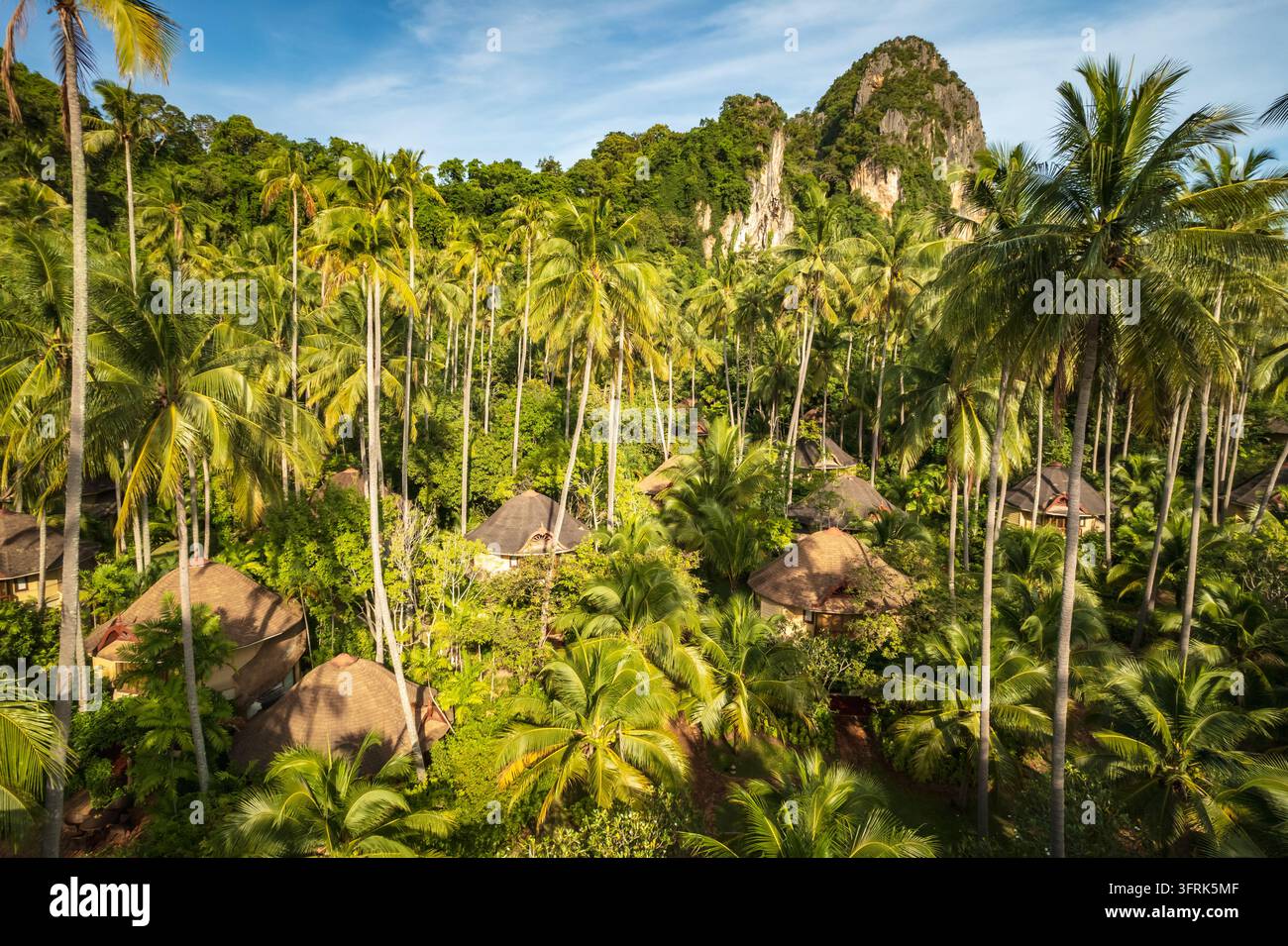 Air View Software Aerial view of palm trees and forest at Railay Beach, Krabi, Thailand ...