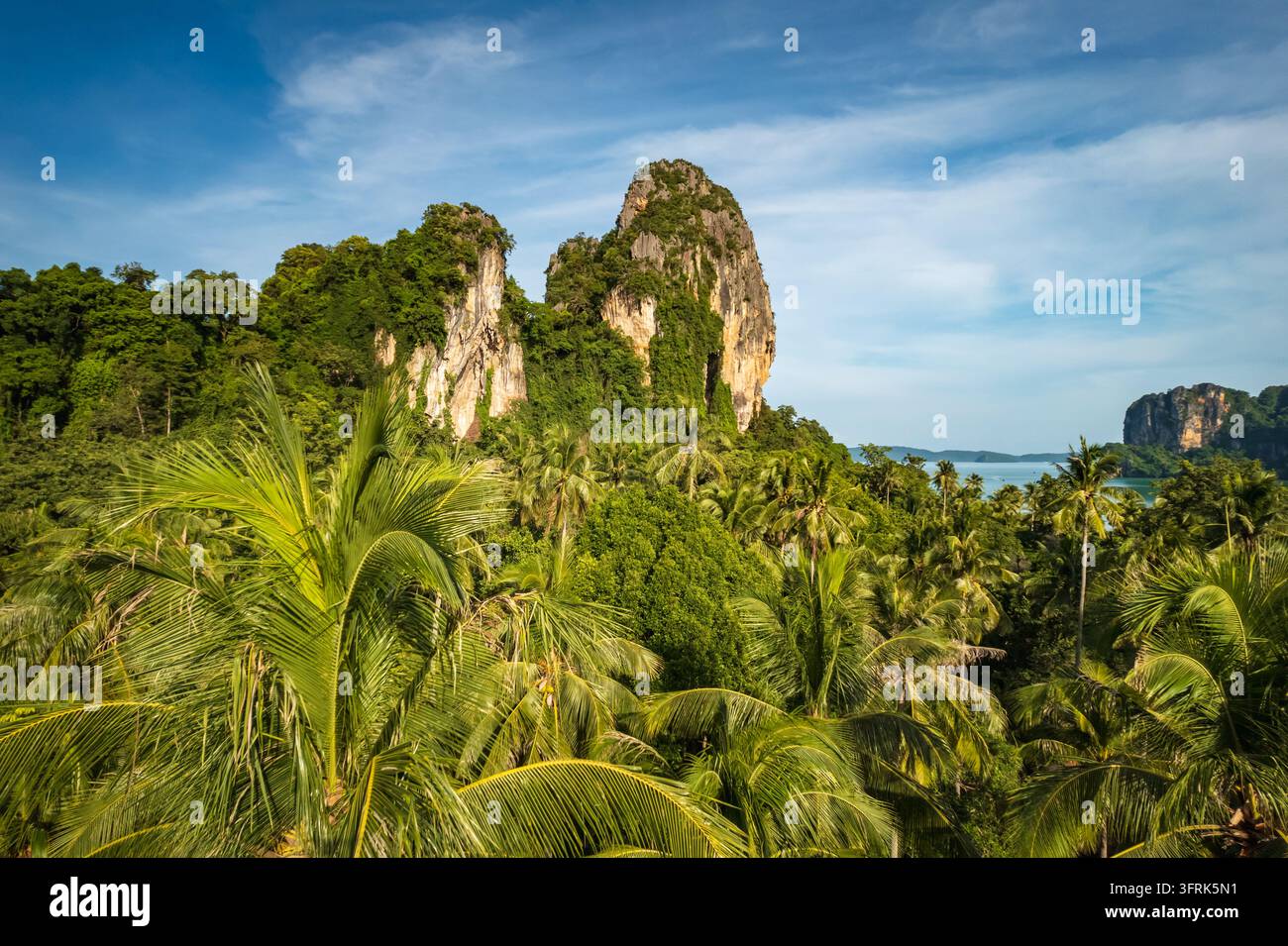 Air View Software Aerial view of palm trees and forest at Railay Beach, Krabi, Thailand ...