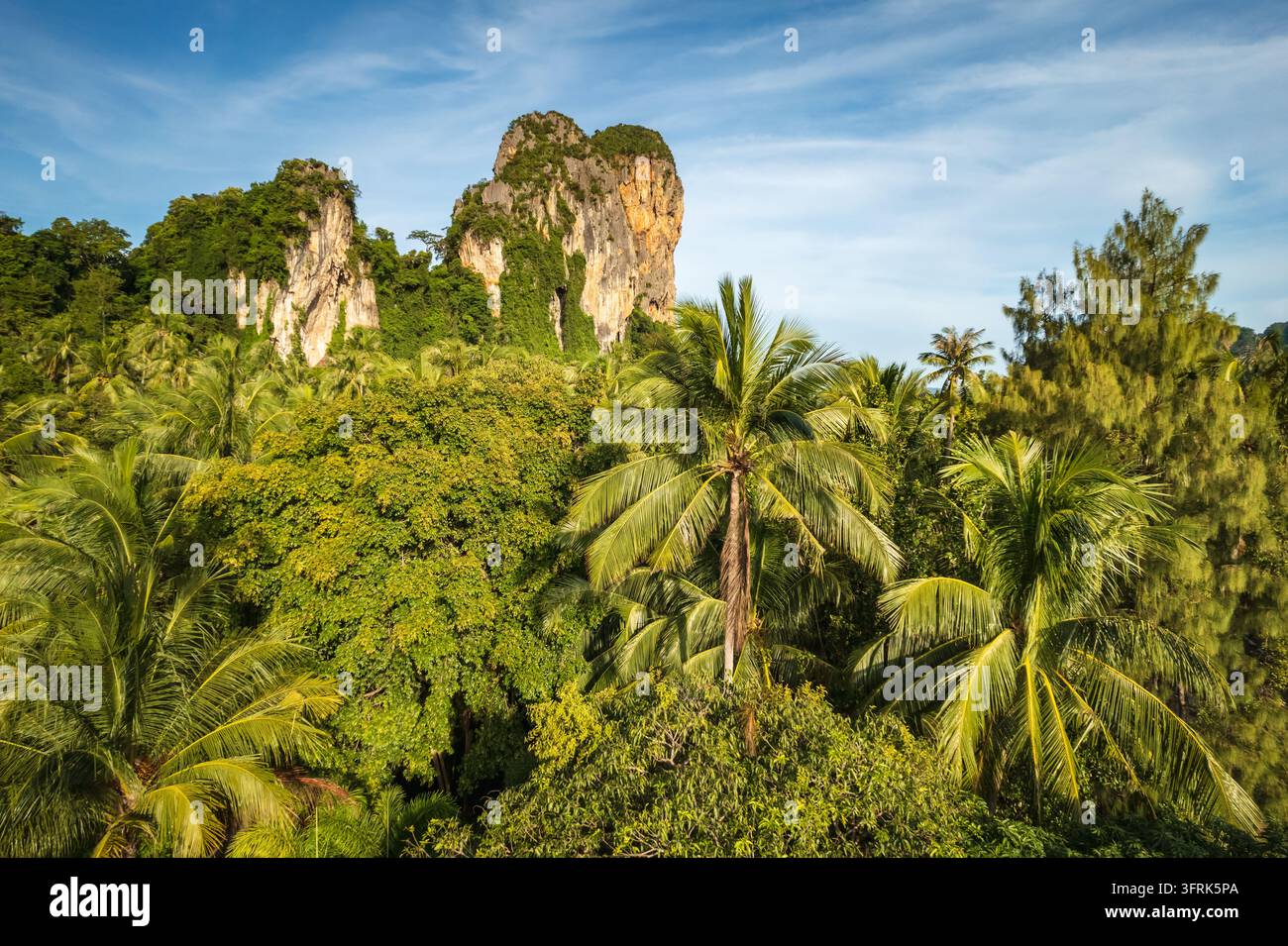 Air View Software Aerial view of palm trees and forest at Railay Beach, Krabi, Thailand ...