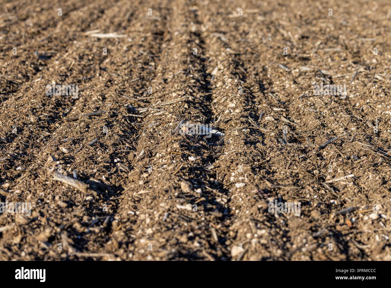 A full frame photograph of a ploughed field in autumn Stock Photo - Alamy