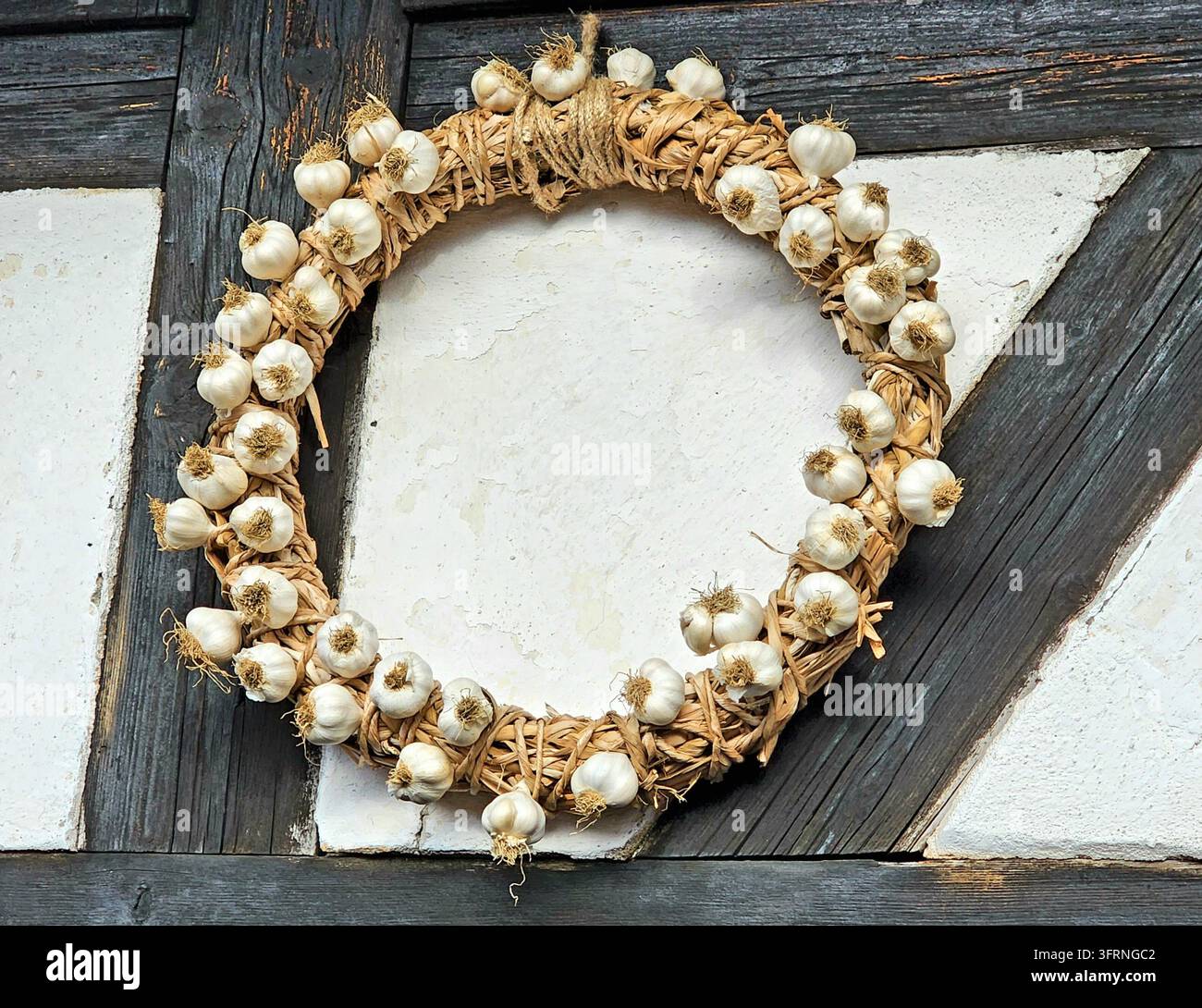 Traditional garlic wreath hanging on a rustic timber-framed fachwerk wall with whitewashed plaster. - Smartphone Captured Stock Image