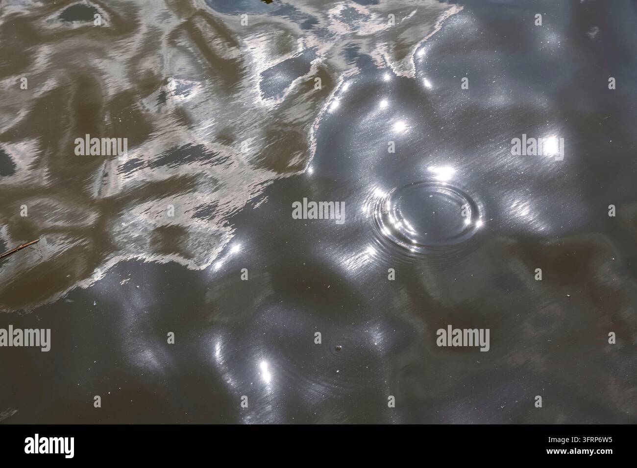 Water surface creating dynamic reflections and a single ripple expanding outwards Stock Photo