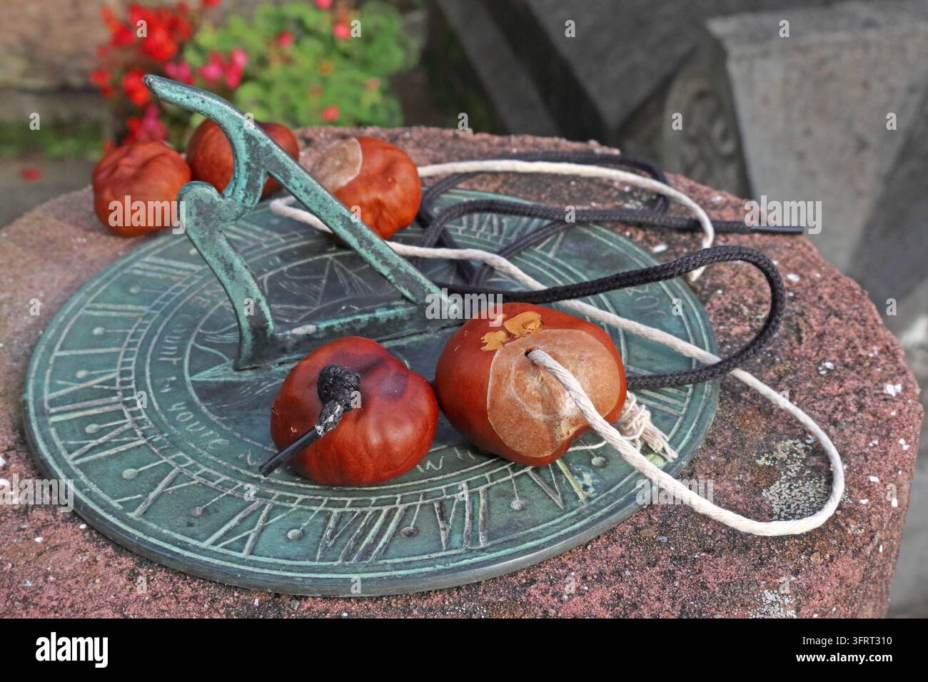 Conkers arranged on sundial, England, UK. Stock Photo