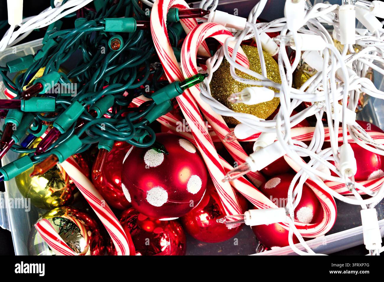 Red ornaments with white dots, striped candy canes, gold glitter and green and white Christmas lights fill a crowded holiday decoration box. Stock Photo