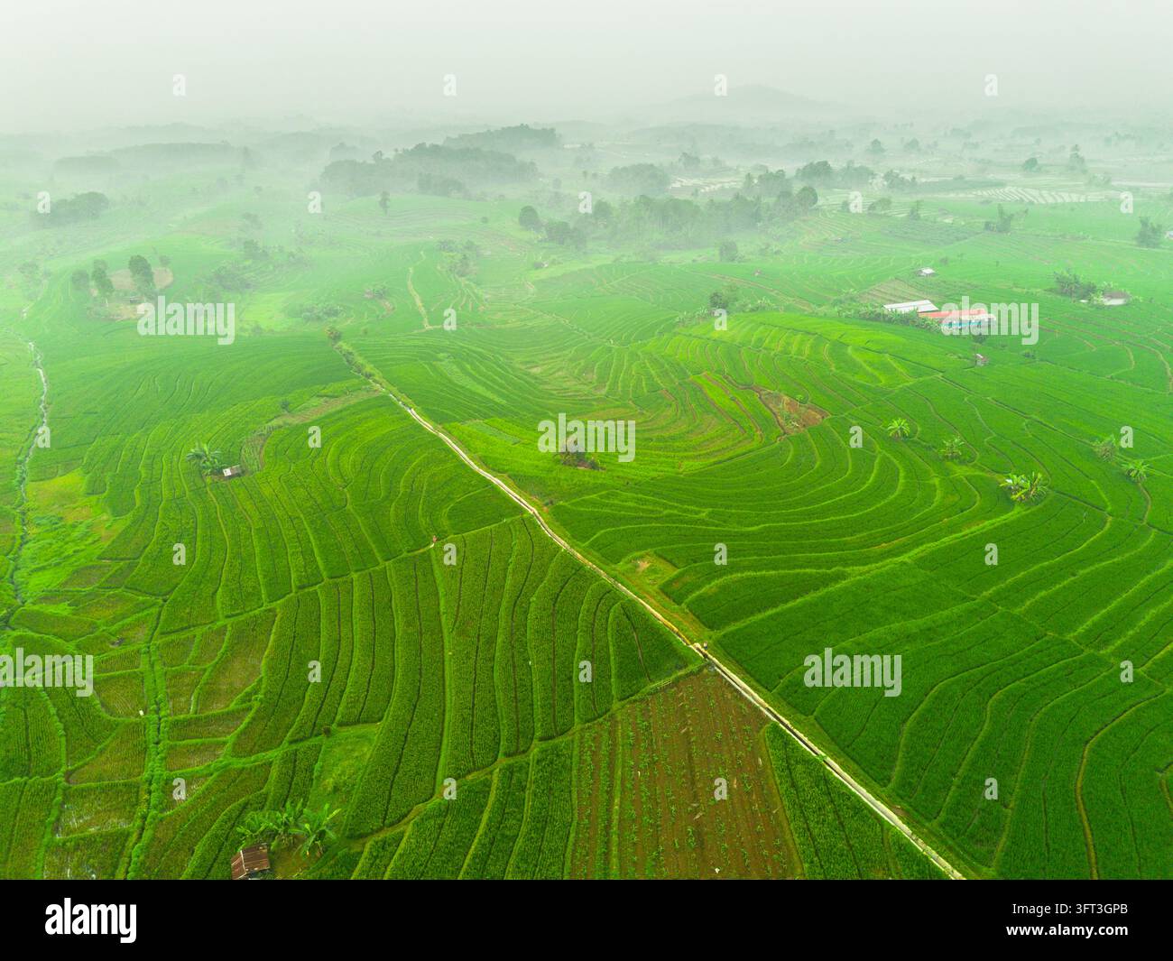 An aerial view of the Indonesian landscape in the morning, shrouded in ...