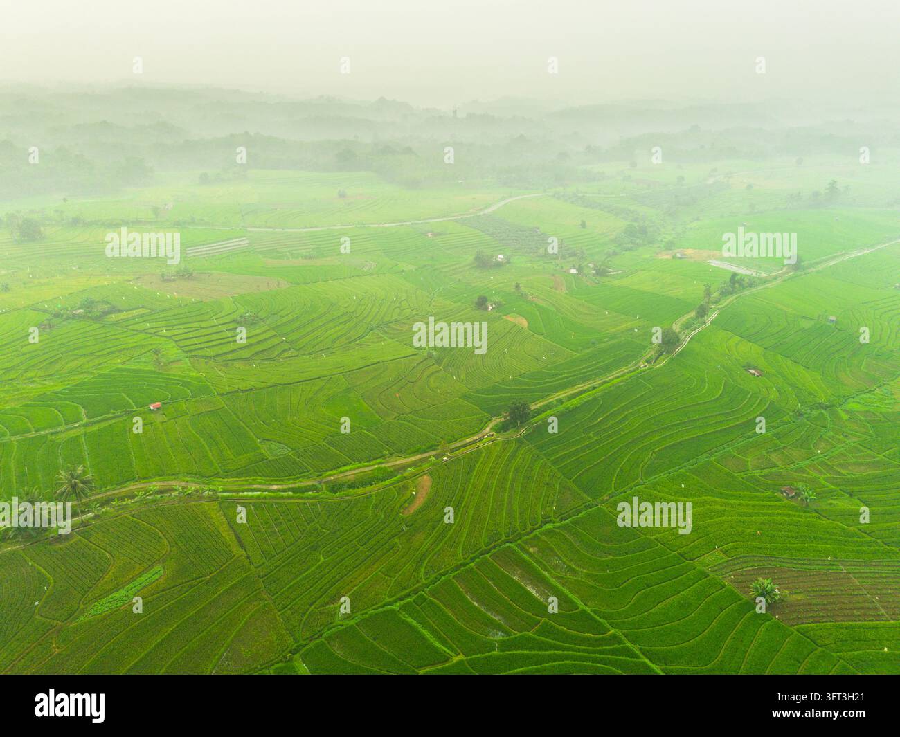 An aerial view of the Indonesian landscape in the morning, shrouded in ...