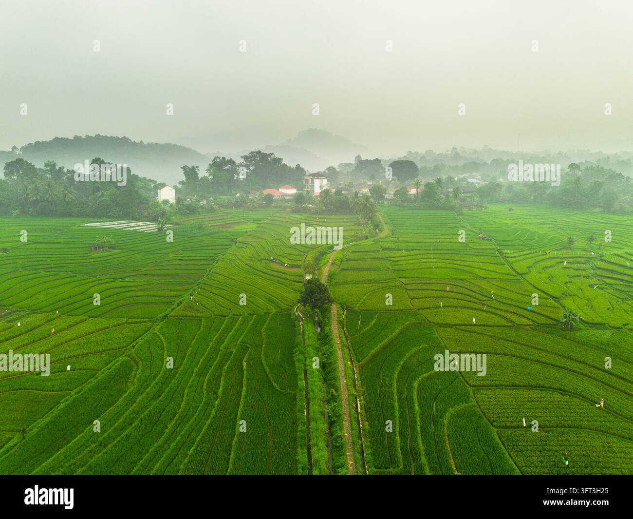 An aerial view of the Indonesian landscape in the morning, shrouded in ...