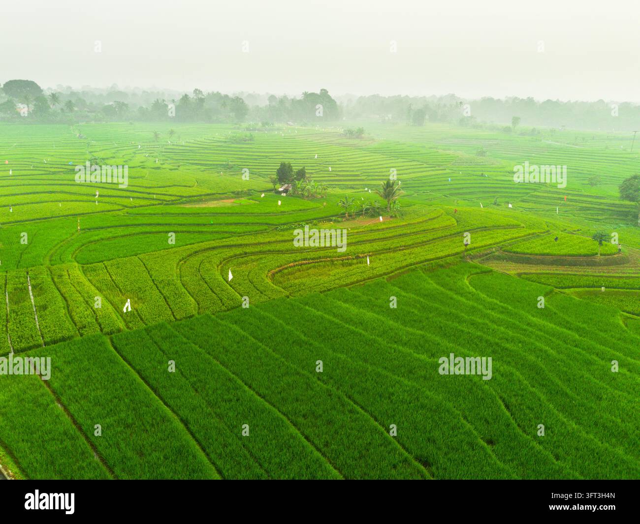An aerial view of the Indonesian landscape in the morning, shrouded in ...