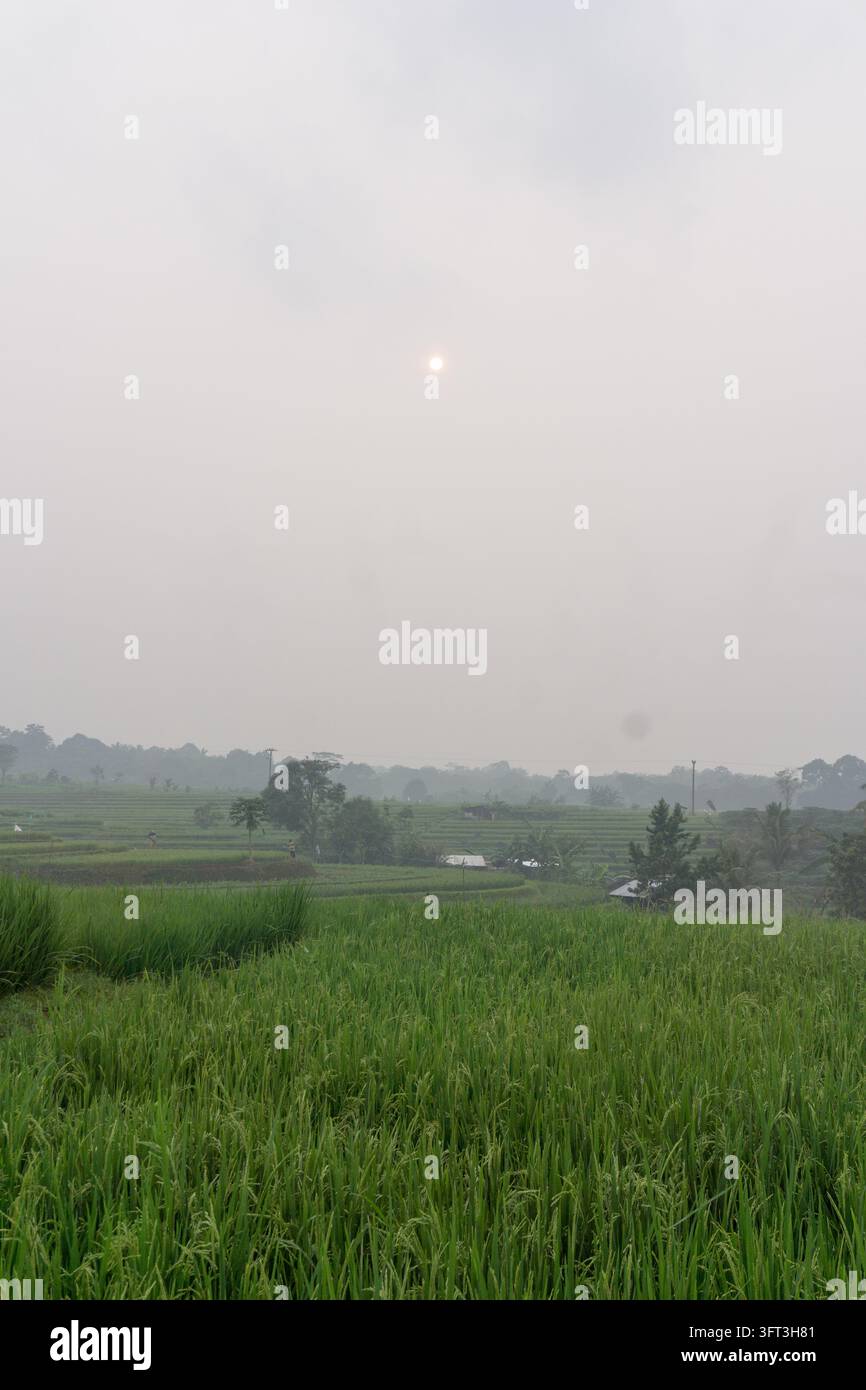 An aerial view of the Indonesian landscape in the morning, shrouded in ...