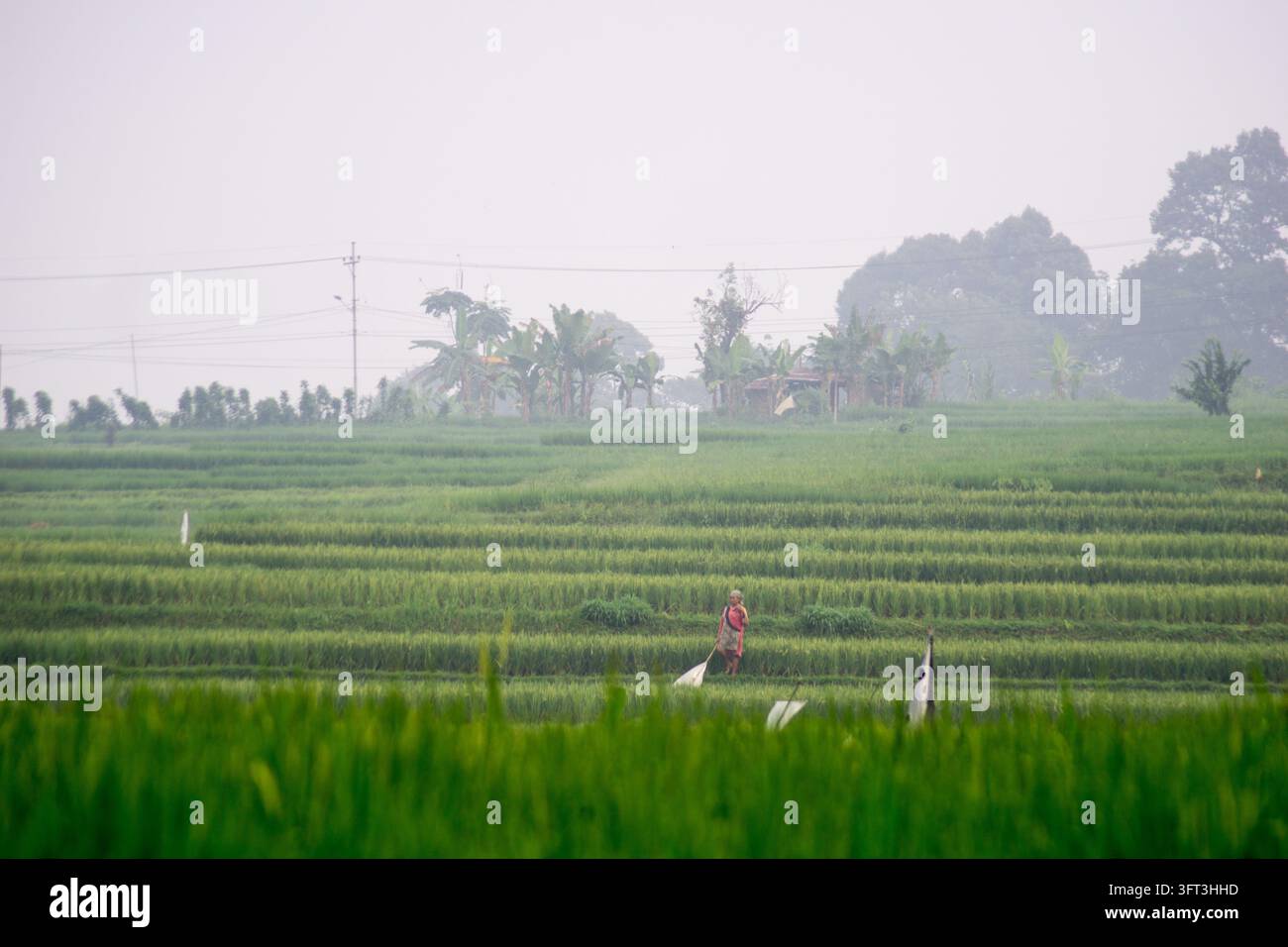 An aerial view of the Indonesian landscape in the morning, shrouded in ...