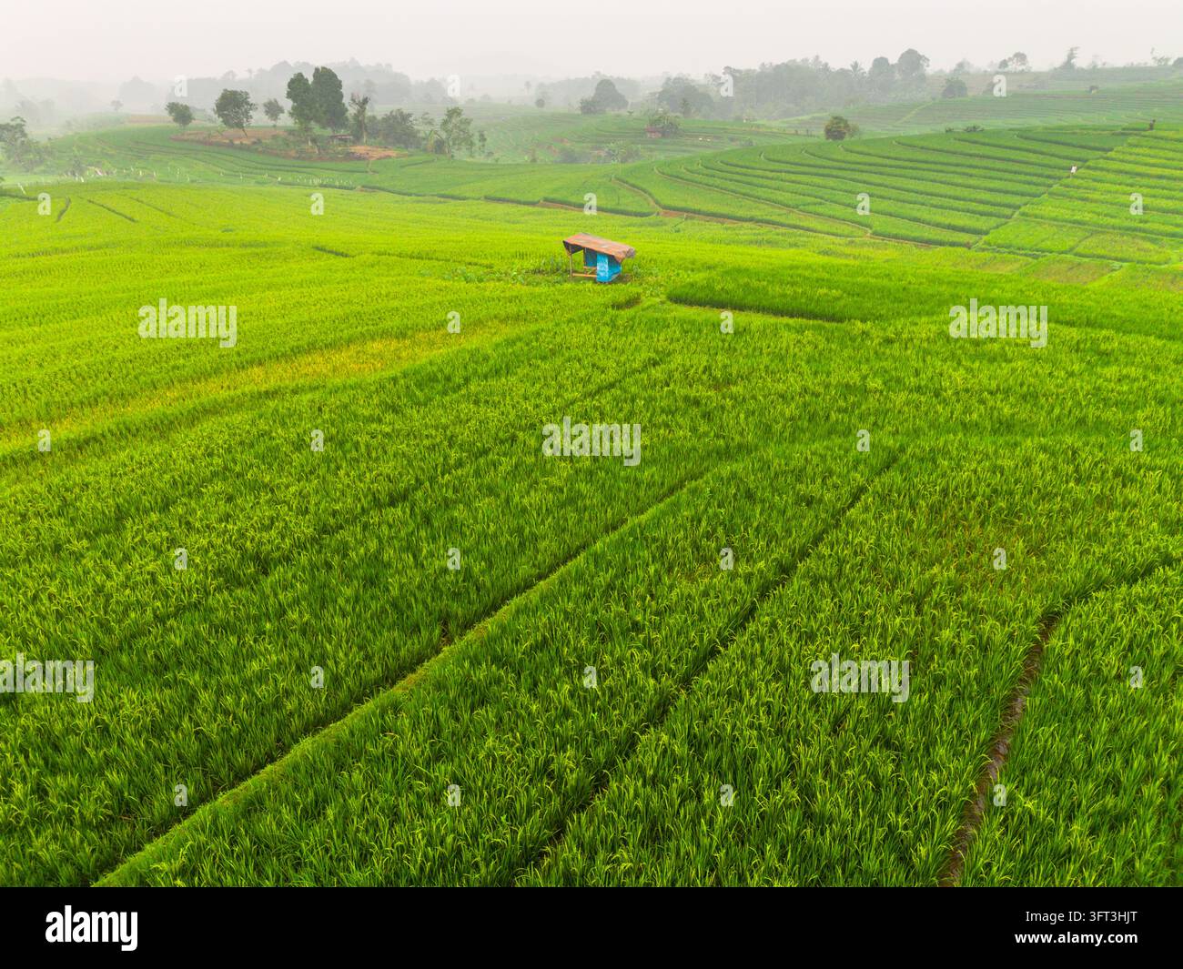 An aerial view of the Indonesian landscape in the morning, shrouded in ...