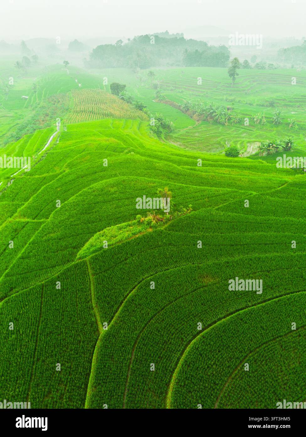 An aerial view of the Indonesian landscape in the morning, shrouded in ...