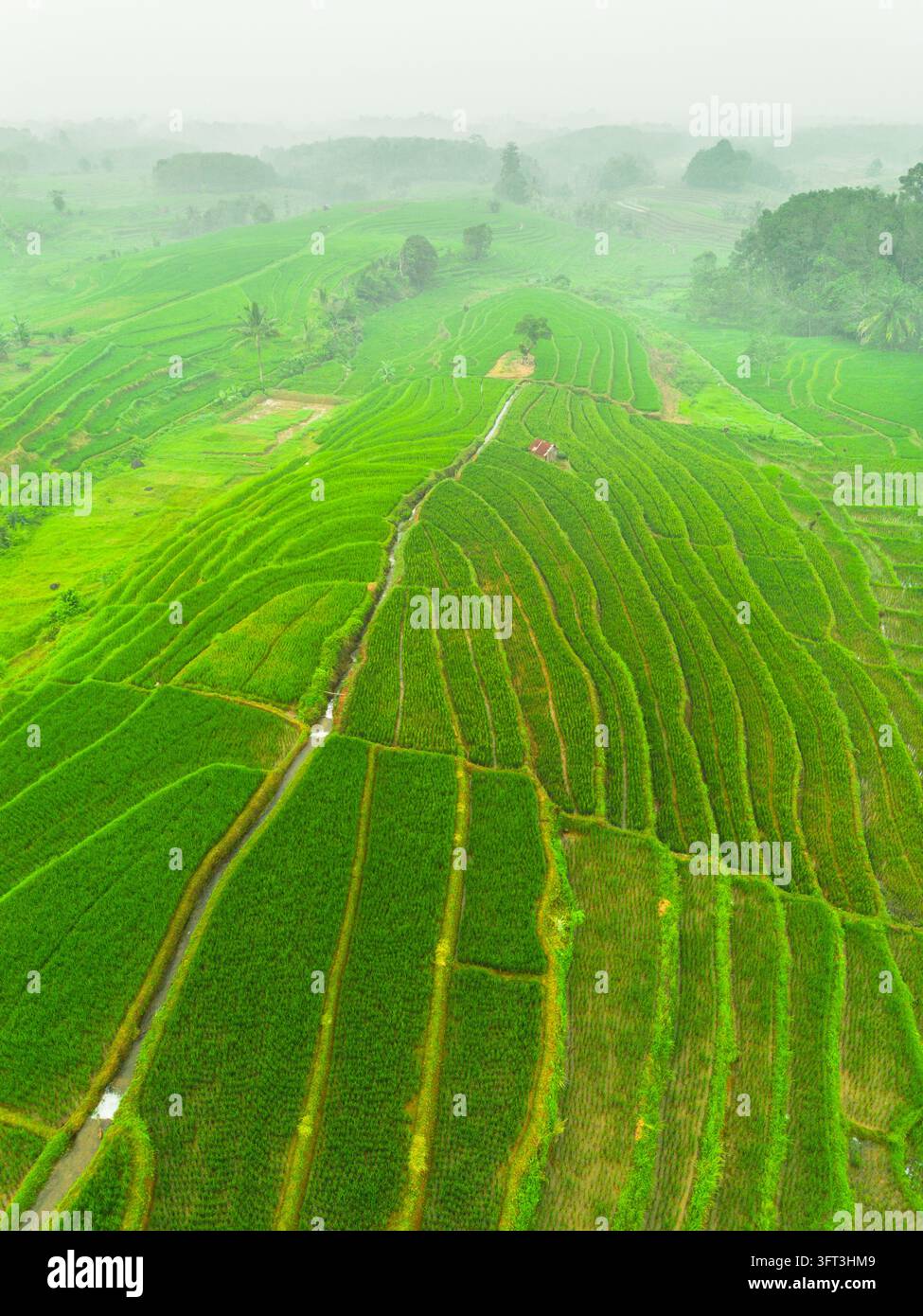 An aerial view of the Indonesian landscape in the morning, shrouded in ...