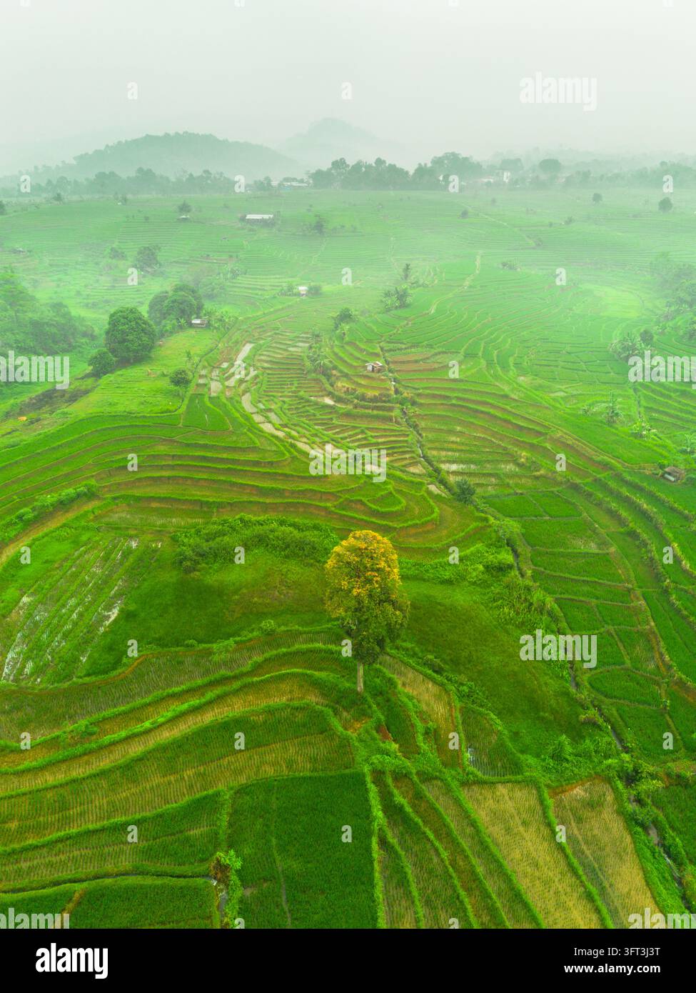 An aerial view of the Indonesian landscape in the morning, shrouded in ...