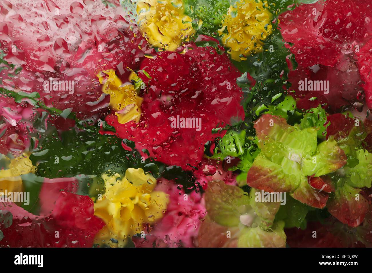 Flowe Rbackground Wet glass background with flowers in the background Stock Photo - Alamy