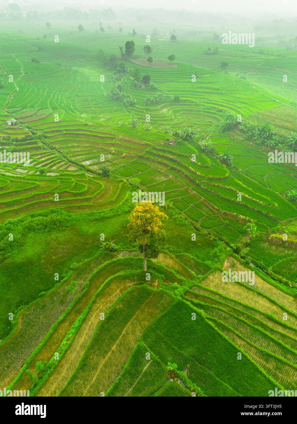 An aerial view of the Indonesian landscape in the morning, shrouded in ...