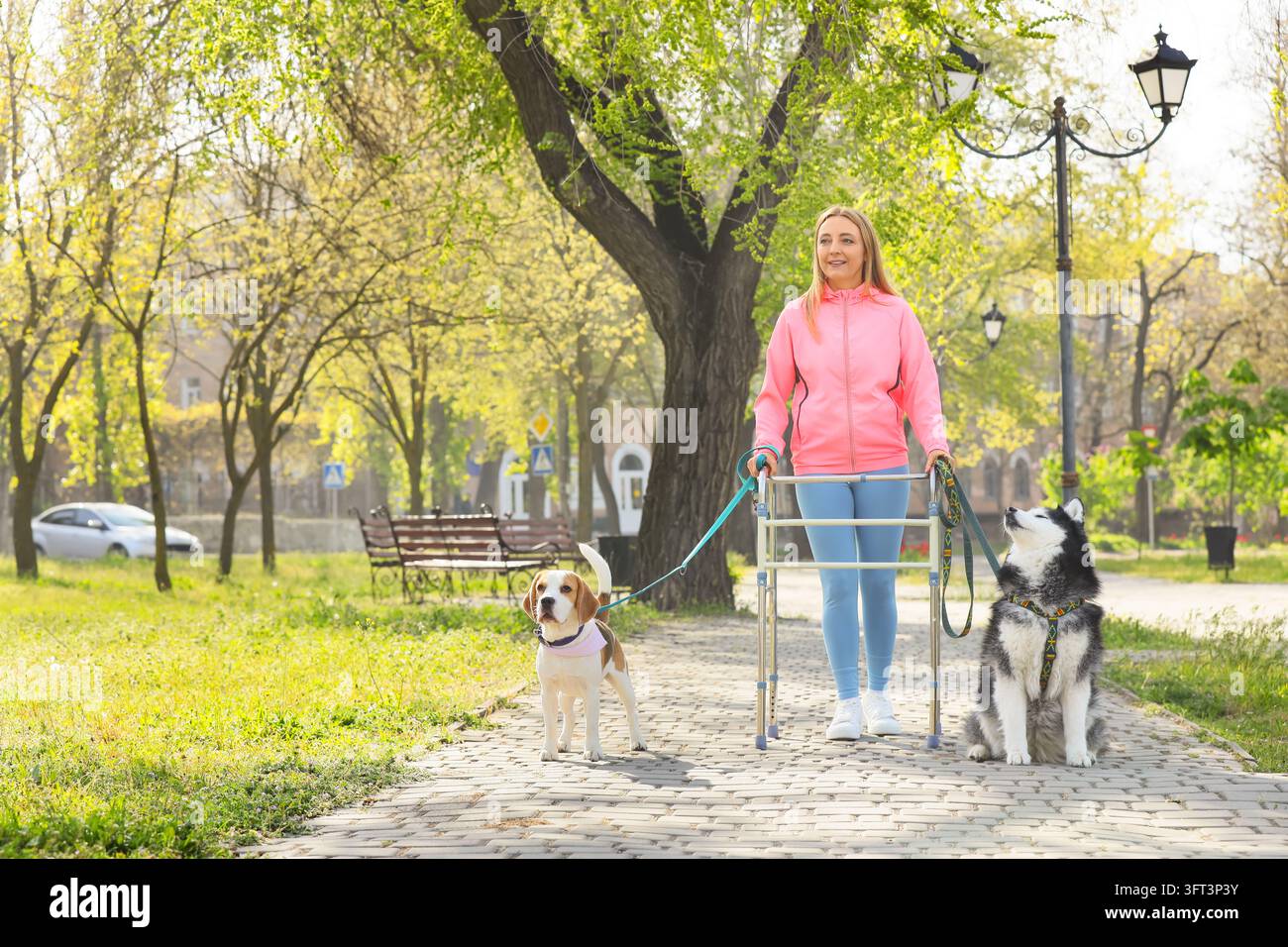 Healthy aging and mobility support, woman using a walker to walk her ...