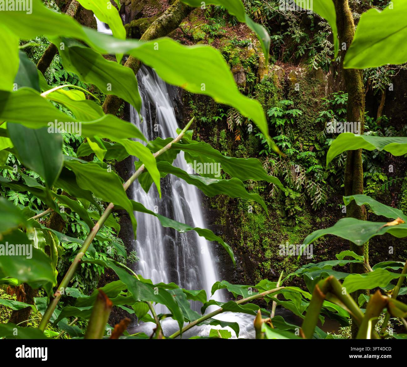 Salto do Prego waterfall. Water flows through green vegetation in Sao ...