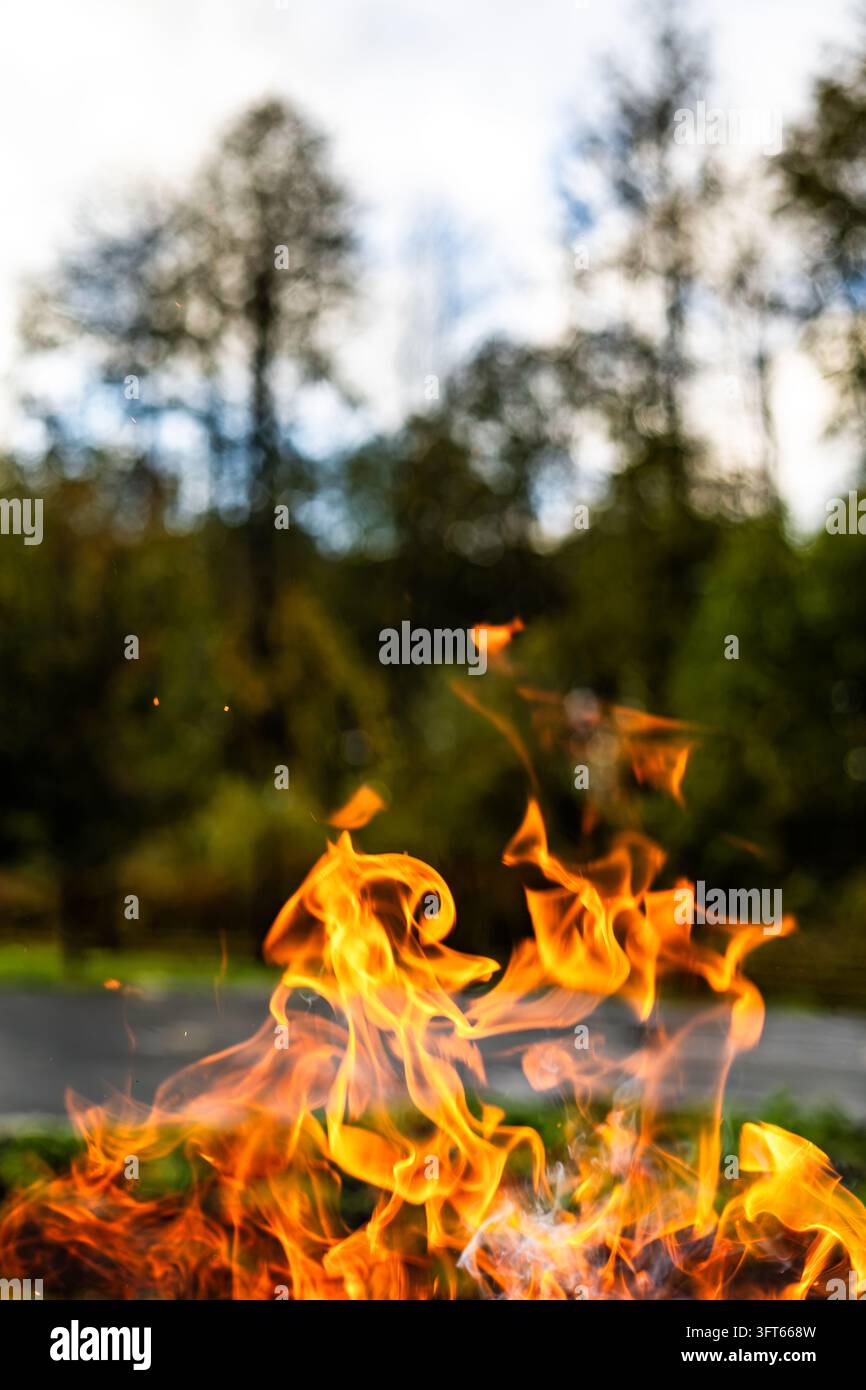 Close-up view of bright yellow and orange fire flames burning in the ...