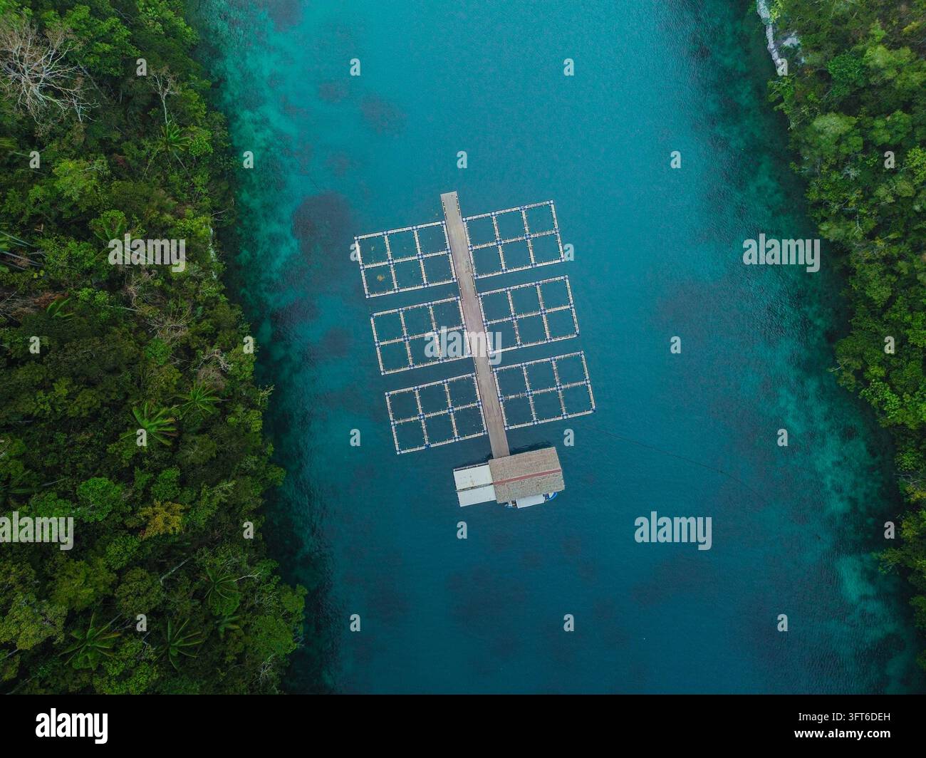 Floting Farm Aerial view of aquaculture fish farm cages floating in turquoise water ...