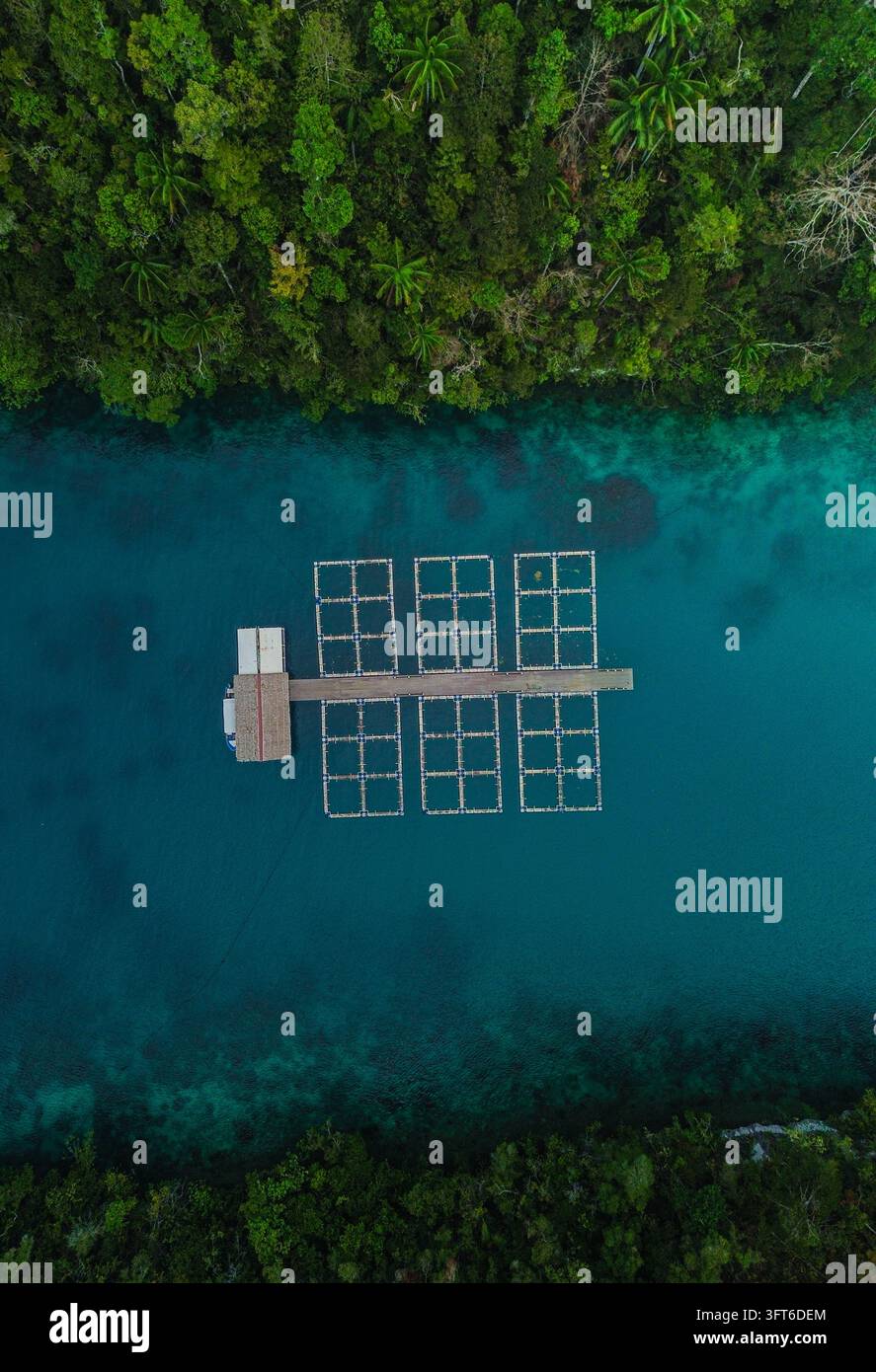 Floting Farm Aerial view of a floating fish farm with wooden structures and net ...