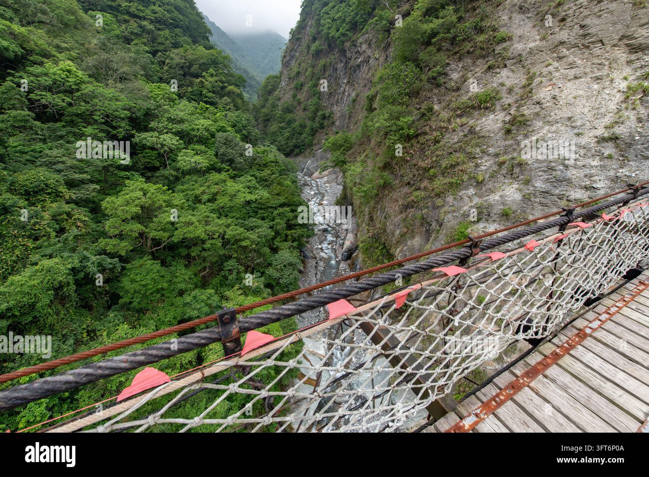 View of the suspension bridge overlooking the river gorge with lush ...