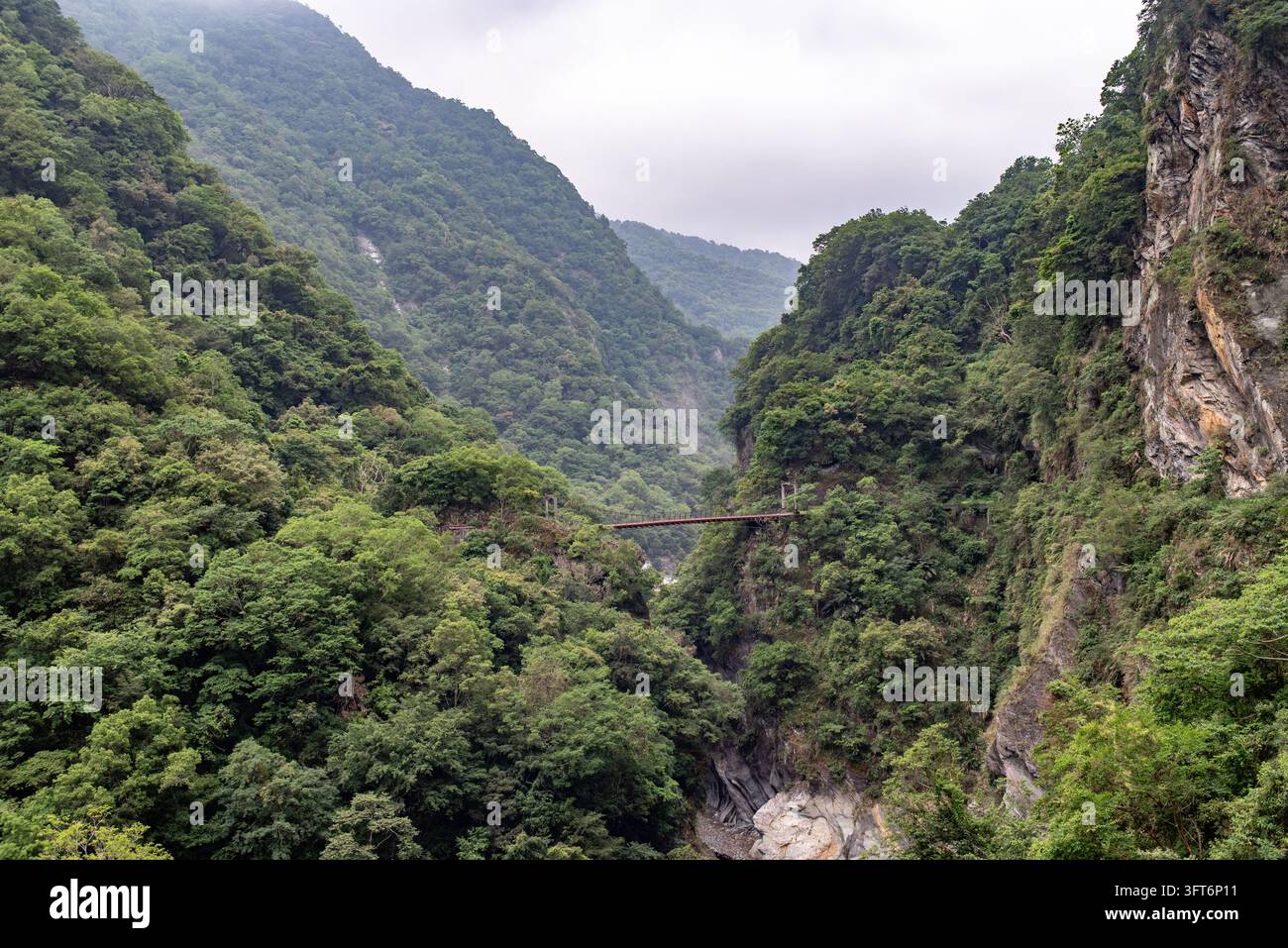 View of the suspension bridge spanning the deep, lush, forested gorge ...