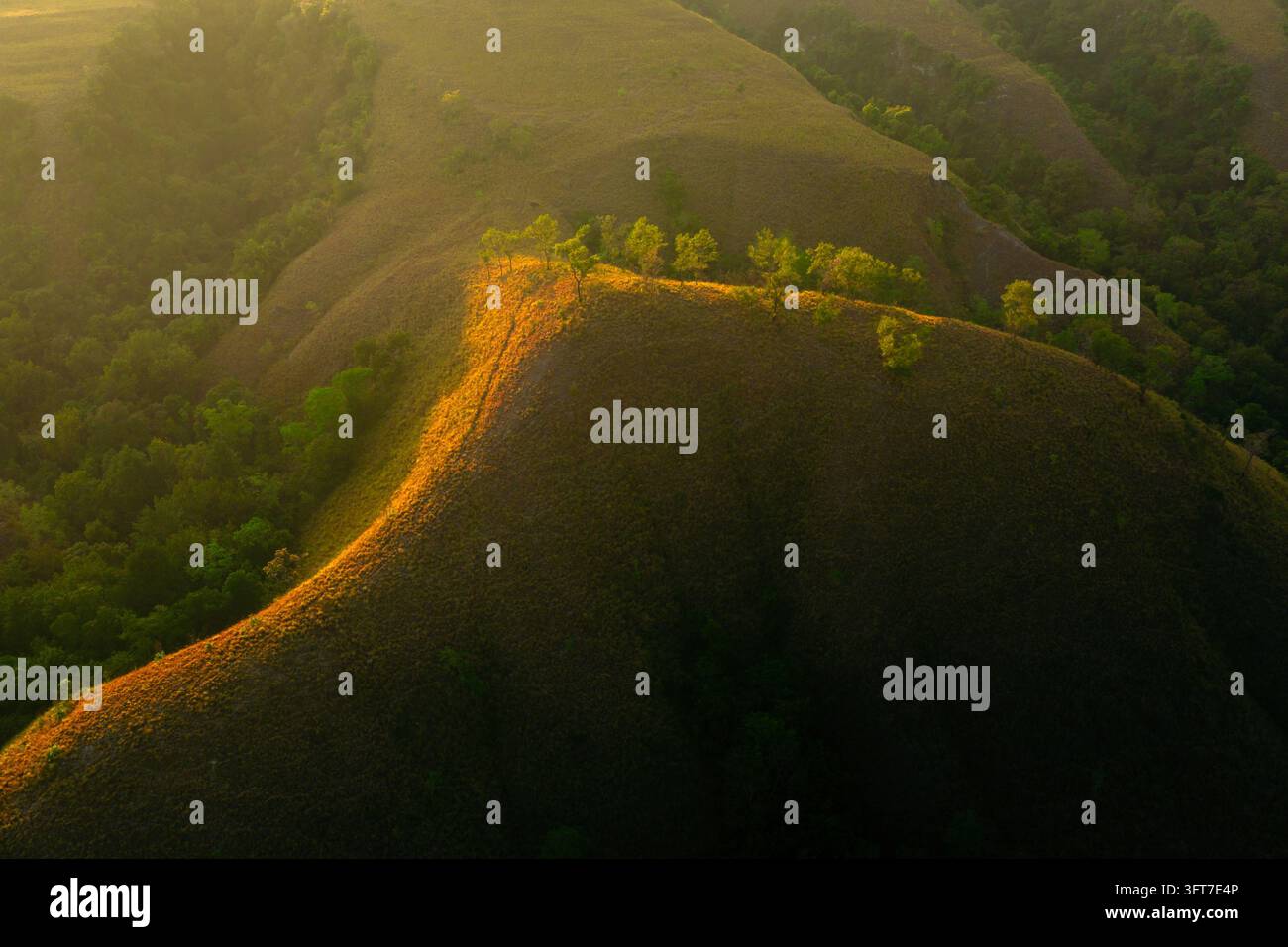 Aerial view of Hars Garden Sumba featuring rolling grassy hills ...