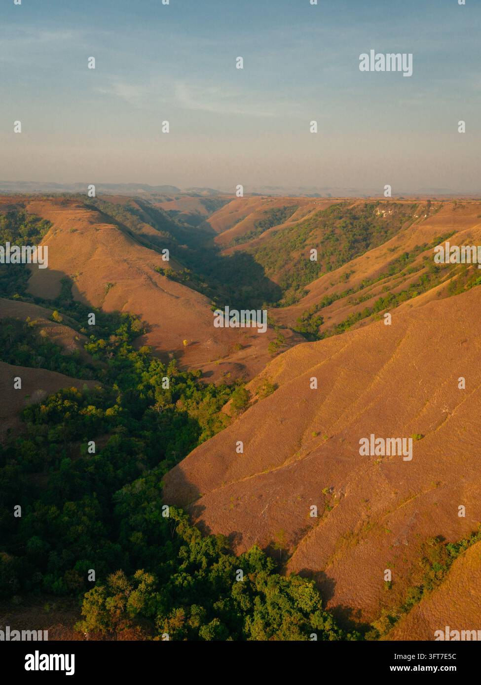 Aerial view of Hars Garden Sumba with rolling golden hills and lush ...