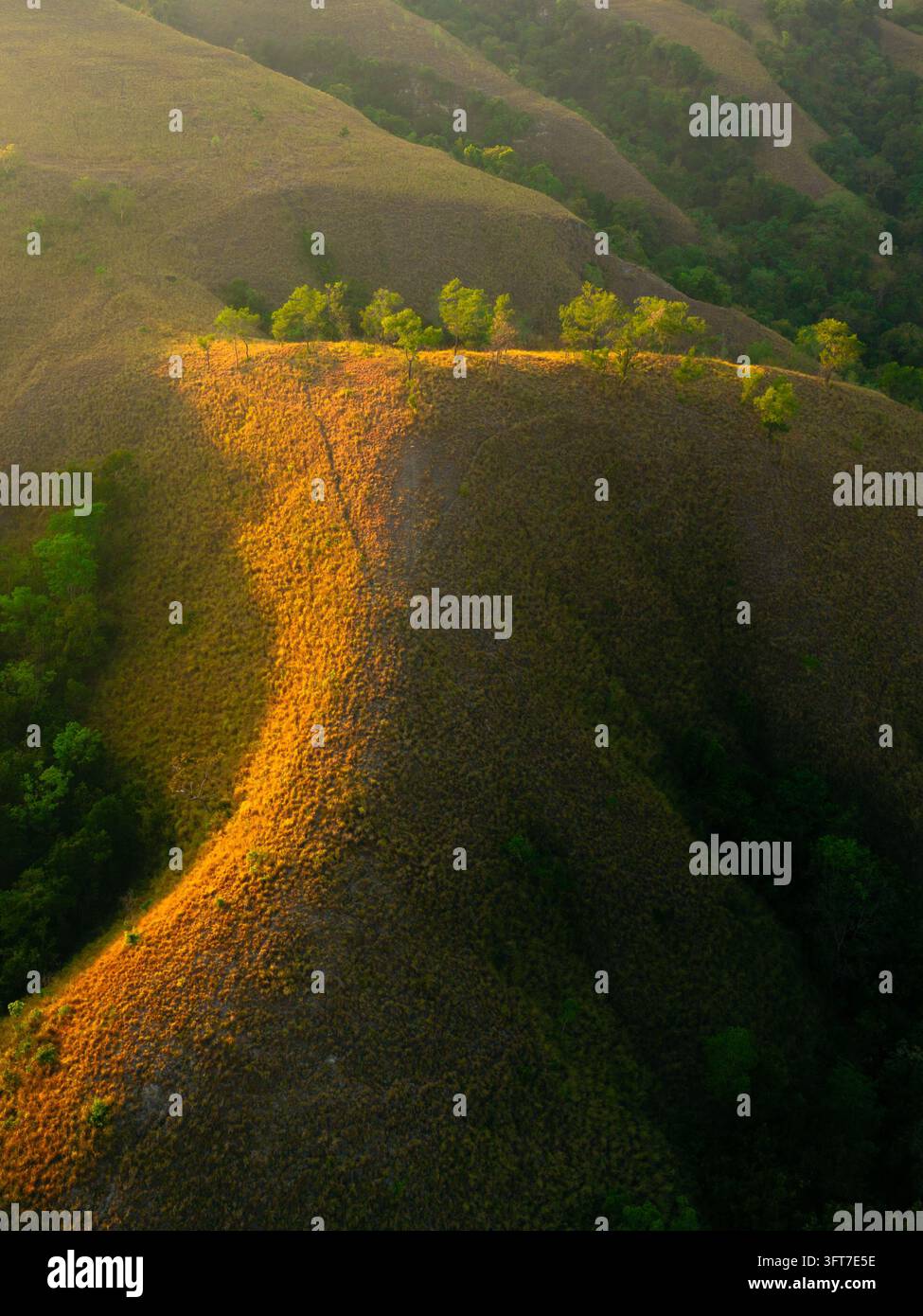 Aerial view of Hars Garden Sumba featuring rolling hills illuminated by ...