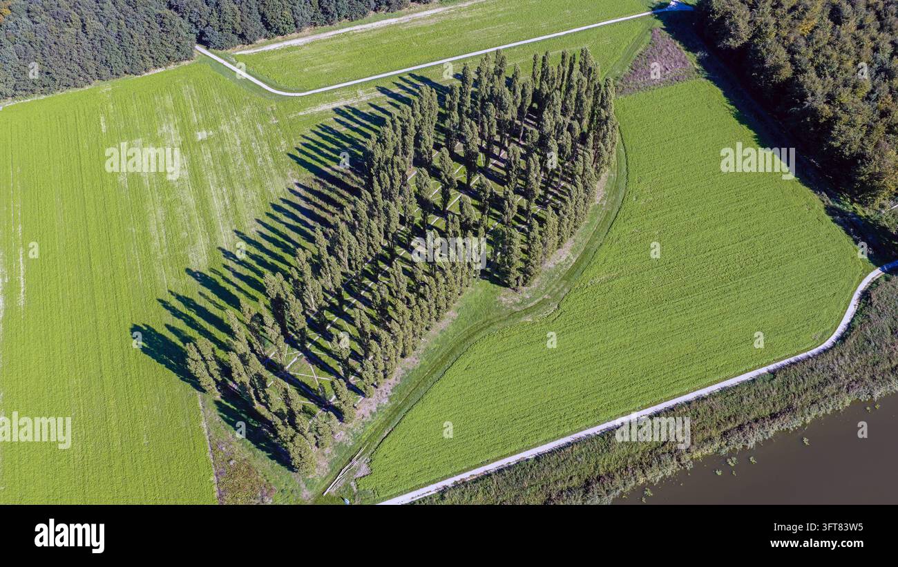 Aerial view of The Green Cathedral, a land art installation by Marinus ...