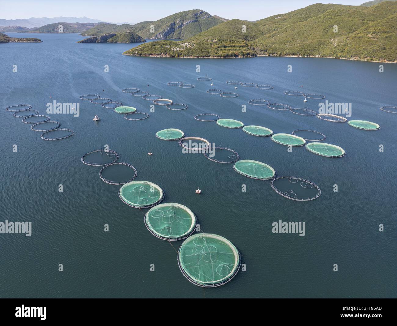 Floting Farm Aerial view of Kilic Fish Farm with circular aquaculture cages floating ...