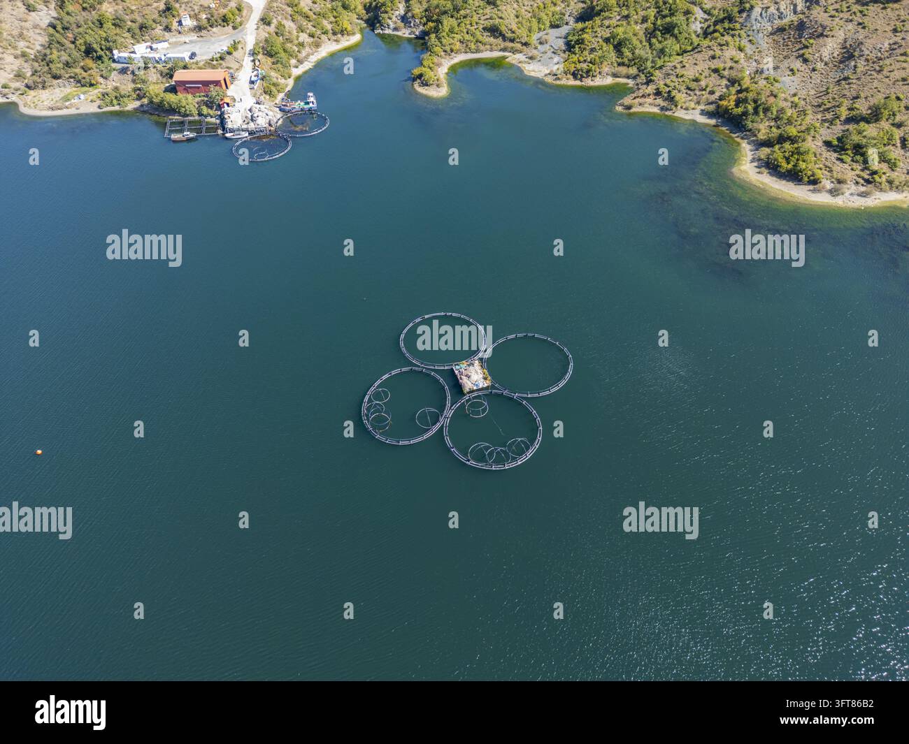 Floting Farm Aerial view of Kilic Fish Farm with circular fish cages floating in the ...