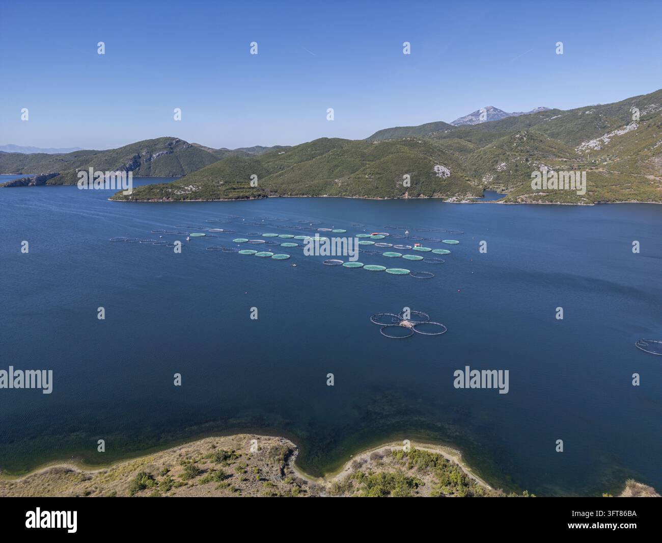 Floting Farm Aerial view of Kilic Fish Farm with circular fish cages floating in the ...