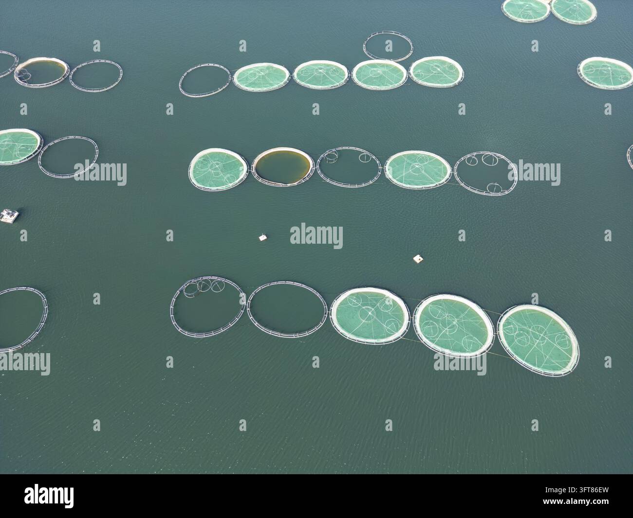 Floting Farm Aerial view of Kilic Fish Farm with circular aquaculture cages floating ...