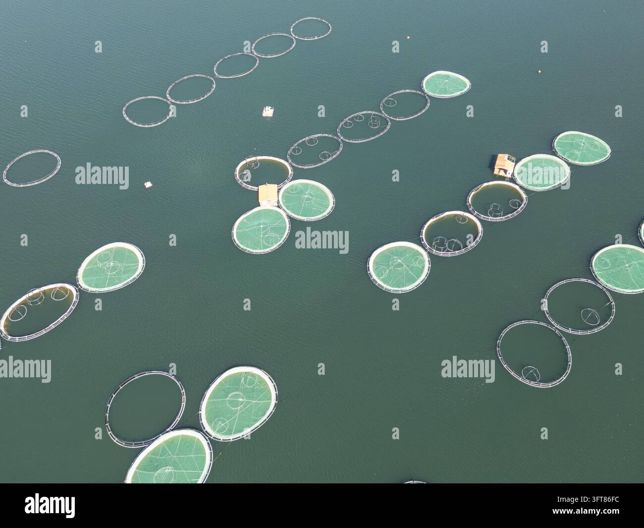 Floting Farm Aerial view of Kilic Fish Farm with circular aquaculture cages floating ...