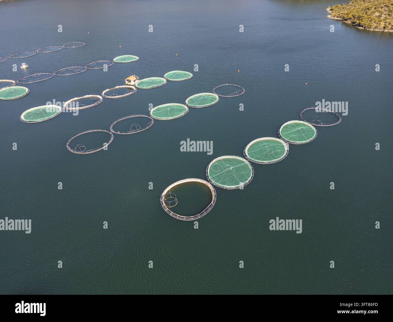 Floting Farm Aerial view of Kilic Fish Farm with circular fish cages floating in the ...