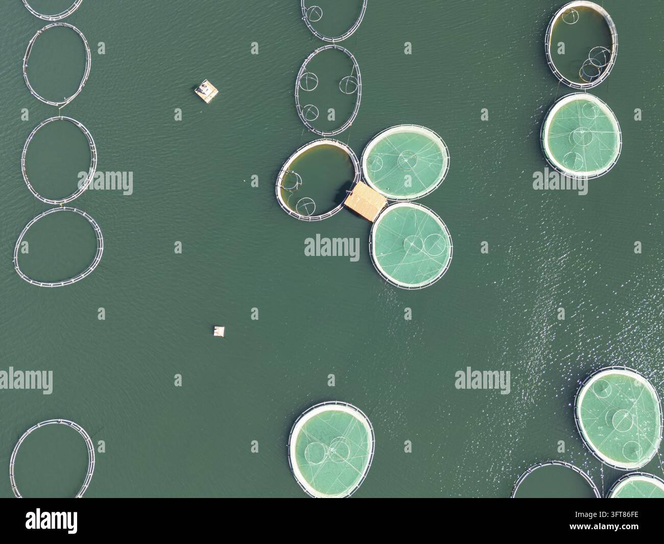 Floting Farm Aerial view of Kilic Fish Farm with circular aquaculture pens floating ...