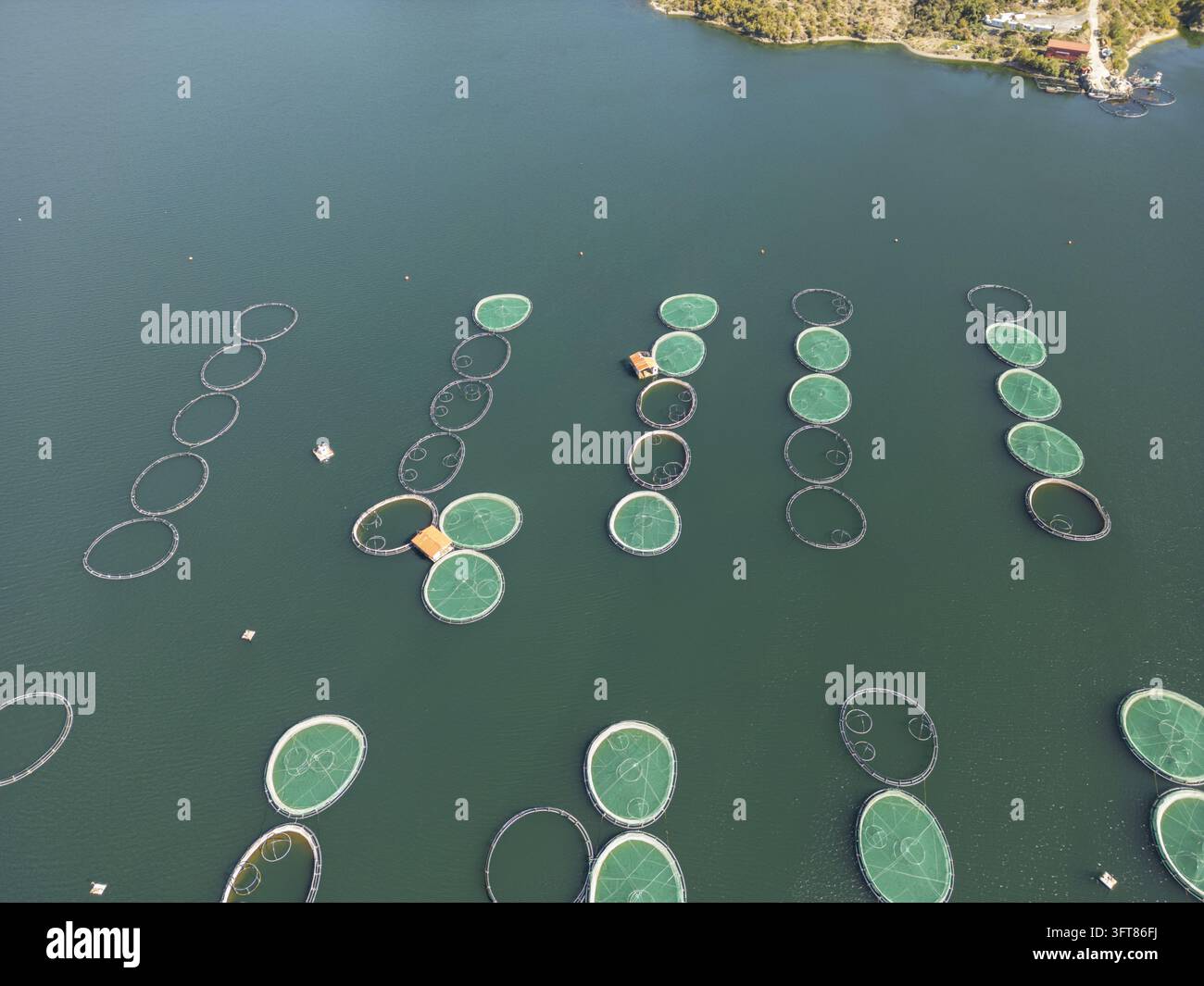 Floting Farm Aerial view of Kilic Fish Farm with circular fish cages floating on the ...