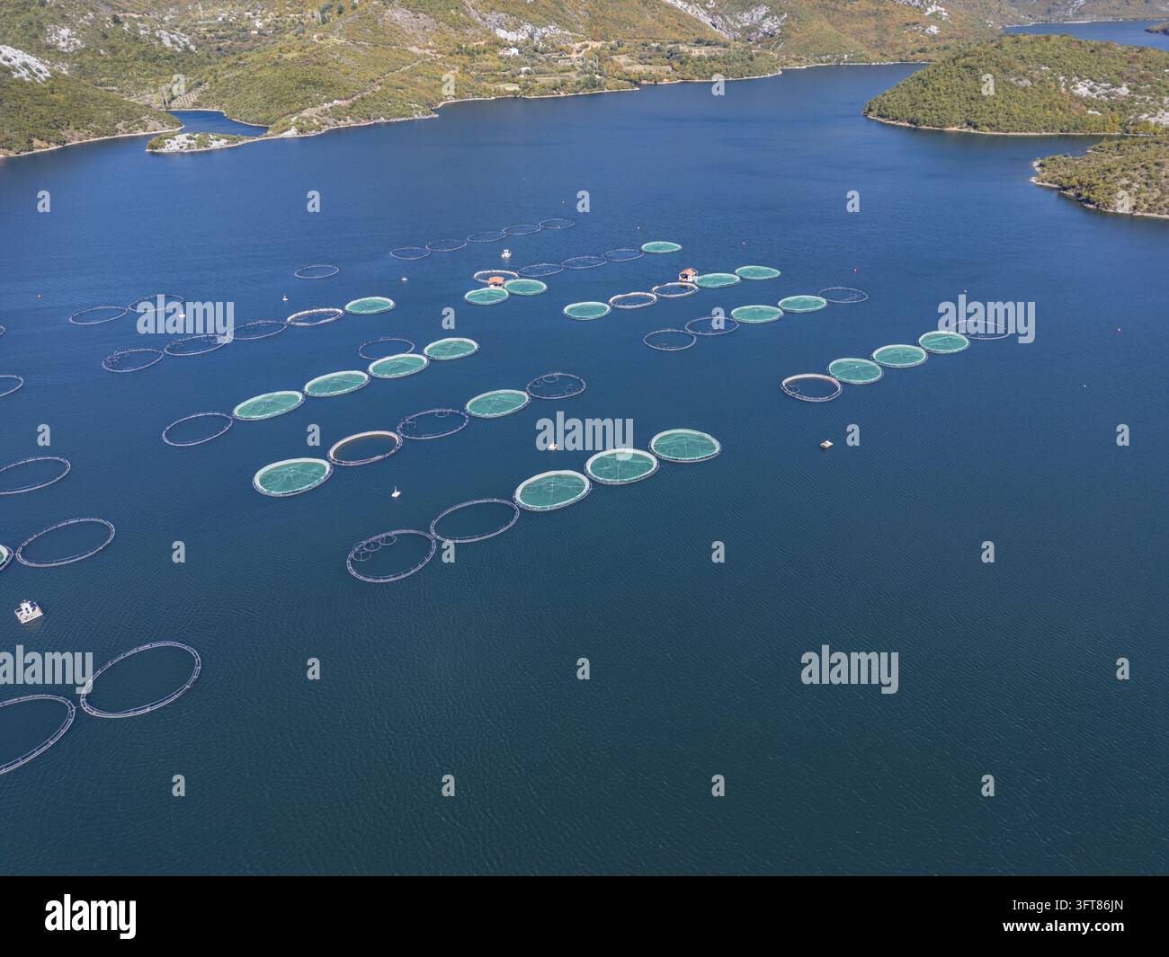 Floting Farm Aerial view of Kilic Fish Farm with circular fish farming cages ...